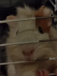 Танцевальное