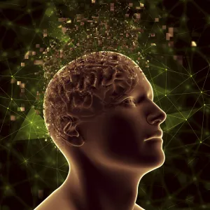 Мозг и сознание