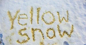 Хочу писать