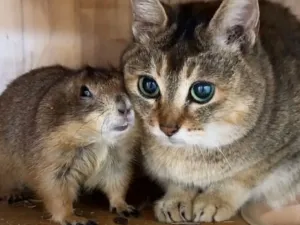 Суслятина Г. К.