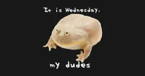 Лягушачья среда